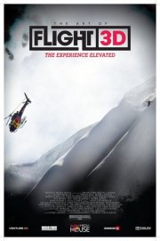 The Art of Flight: una locandina del film