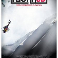 The Art of Flight: una locandina del film