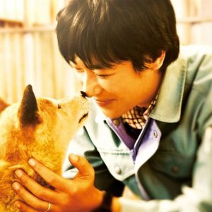 7 Days of Himawari & Her Puppies: una scena del film