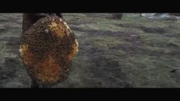 Clip 'Come svegliare un gigante' - Il cacciatore di giganti