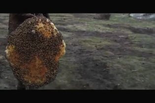Clip 'Come svegliare un gigante' - Il cacciatore di giganti