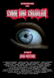 Come una crisalide: la locandina del film