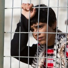 Zaytoun: un primo piano di Abdallah El Akal