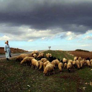 Il Marocco mostrato in Casablanca Mon Amour