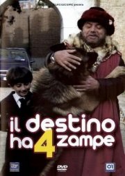 Il destino ha quattro zampe