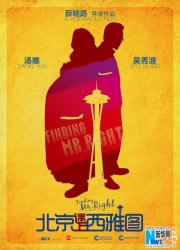 Finding Mr. Right: la locandina del film