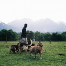 Post Tenebras Lux: il regista del film Carlos Reygadas durante le riprese