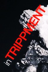 La locandina di inTRIPPMENT
