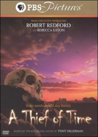 Locandina di A Thief of Time