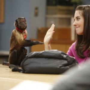 Community: Alison Brie nell'episodio History 101