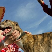 Rebel Wilson in Pain & Gain - Muscoli e Denaro: una scena del film