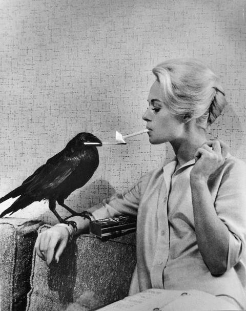 Tippi Hedren In Una Foto Promo Per Gli Uccelli Di Hitchcock 273318