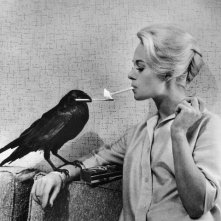 Tippi Hedren in una foto promo per Gli uccelli di Hitchcock