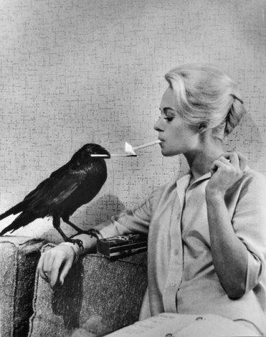 Tippi Hedren in una foto promo per Gli uccelli di Hitchcock