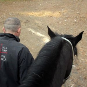Fedele alla linea - Giovanni Lindo Ferretti: Giovanni Lindo Ferretti di spalle in una scena del documentario