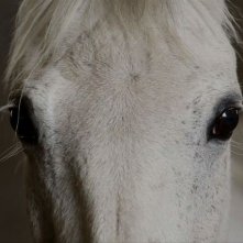 Fedele alla linea - Giovanni Lindo Ferretti: una scena del documentario diretto da Germano Maccioni