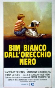 Bim bianco dall'orecchio nero