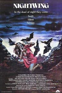 Locandina di Le ali della notte