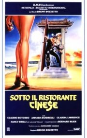 Sotto il ristorante cinese