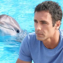 Come Un Delfino 2 Raoul Bova In Una Scena Della Fiction 275058