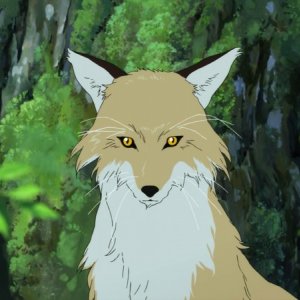 Wolf Children: il primo piano di un lupo