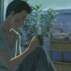 The Garden of Words - una sequenza del film d'animazione giapponese