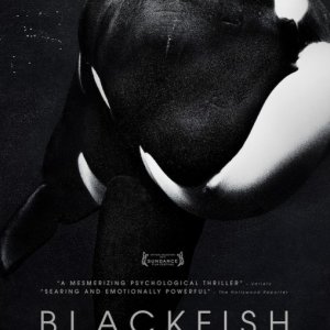 Blackfish: la locandina del film