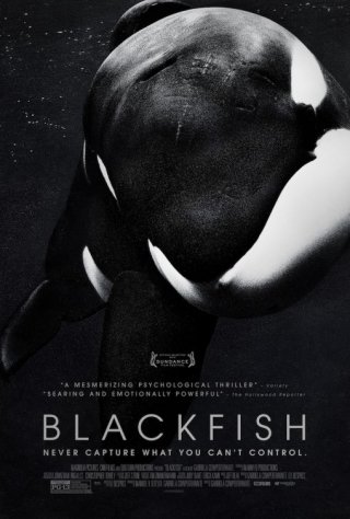 Blackfish: la locandina del film