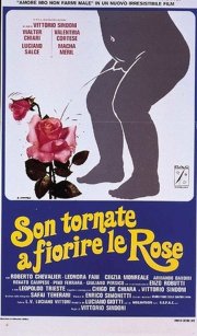 Son tornate a fiorire le rose: la locandina del film