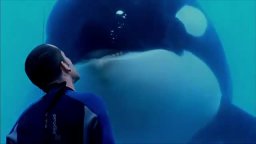 Trailer - Blackfish