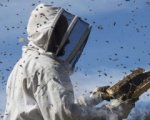 Un mondo in pericolo: il trailer e la campagna di Greenpeace