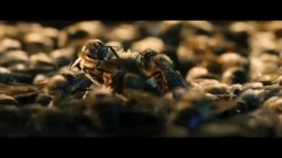 Trailer Italiano - Un mondo in pericolo