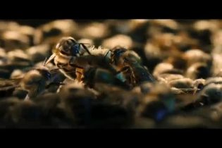 Trailer Italiano - Un mondo in pericolo