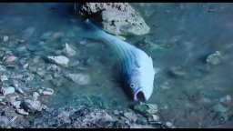 Clip Esclusiva - Quando meno te lo aspetti