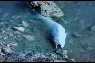 Clip Esclusiva - Quando meno te lo aspetti