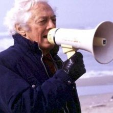 Una foto di Dino Risi