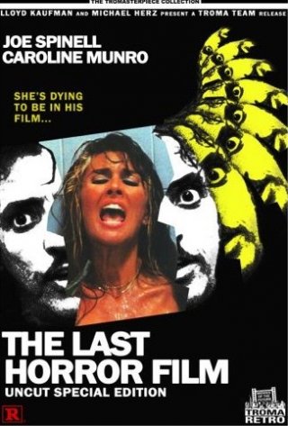 The Last Horror Film: la locandina del film