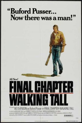 Final Chapter: Walking Tall: la locandina del film