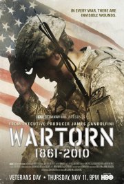 Wartorn: 1861-2010: la locandina del film
