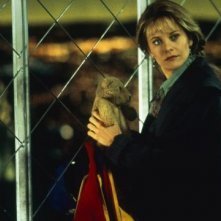 Meg Ryan in Insonnia d'Amore