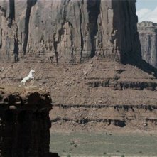 The Lone Ranger: il cavallo Silver in una scena dell'avventuroso film di Gore Verbinski
