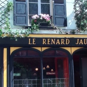 Le renard jaune - una scena del film francese