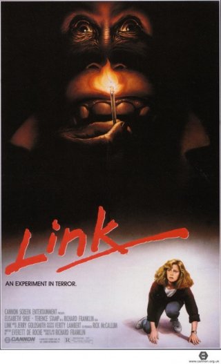 Link: la locandina del film