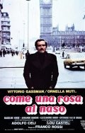 Come una rosa al naso: la locandina del film