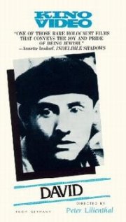 David: la locandina del film