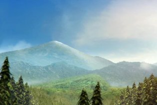 Video-recensione Il grande orso