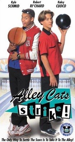 La squadra di bowling Alley Cats: la locandina del film