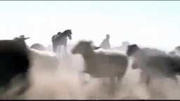 International Trailer - Sweetwater