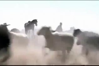 International Trailer - Sweetwater