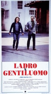 Ladro e gentiluomo: la locandina del film